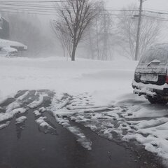 【大雪】関越自動車道…