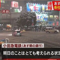 【土日大雪】関東甲信…