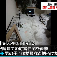 【雪崩】北海道羅臼町…