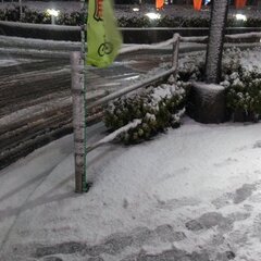 【関東の雪】関東各地…