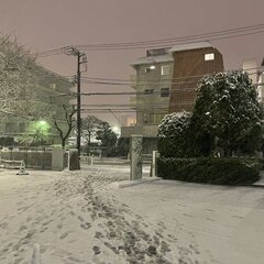 【雷雪】関東「やべぇ…