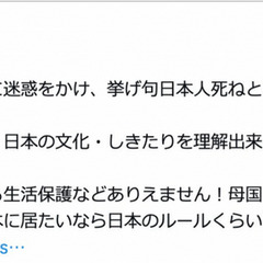 【炎上】若林参議院議…