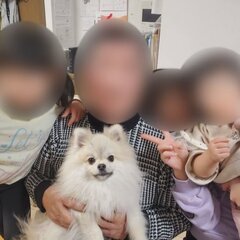 【老害事故】6歳女の…