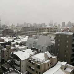 【雪降ってる】東京に…