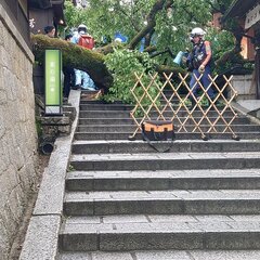 【倒木事故】京都市東…