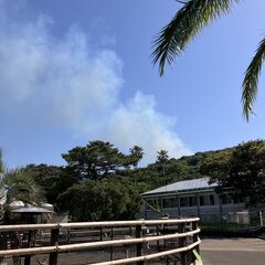 【火事】伊豆大島で火…