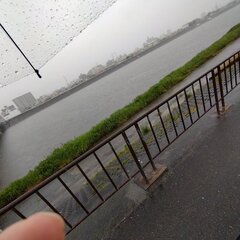 【大雨】大阪 大和川…