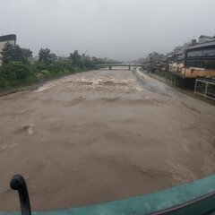 【大雨】京都 鴨川の…