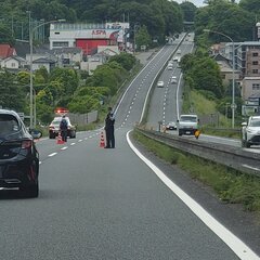 【倒木】阪奈道路 奈…