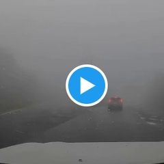 【動画】濃霧の中、道…