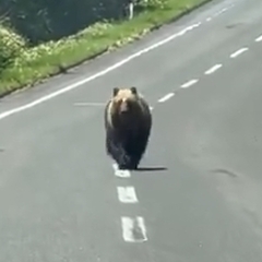 【動画】北海道に支社…