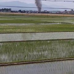 【火事】滋賀県彦根市…