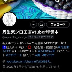 【トラブル】Vtub…