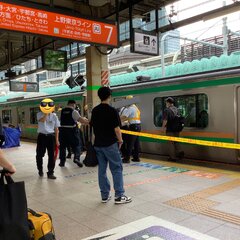 東海道線 東京駅で人…