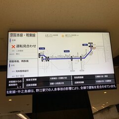 京阪本線 野江駅で人…