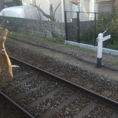 【阪急神戸線】神崎川…