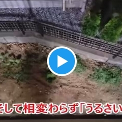 【動画】川口市 クル…