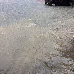 【大雨】沖縄市泡瀬で…