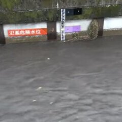 【ゲリラ豪雨】東京都…