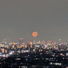 【花火の音】淀川花火…