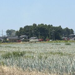 【火事】茨城県つくば…