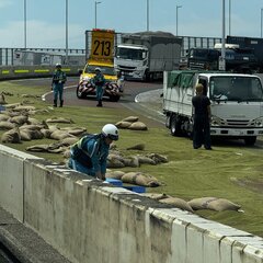 【事故】首都高 高速…