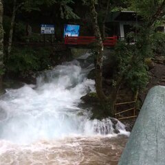 【台風5号】岩手県岩…