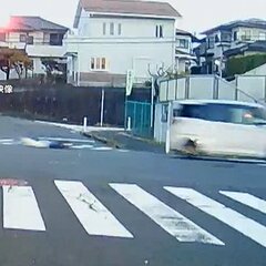 【動画】息子の車に母…