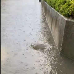 【大雨】福島県郡山市…