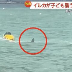 【動画】福井県の海水…