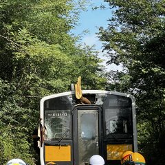 水郡線 磐城守山〜安…