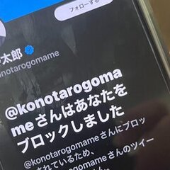 【ブロックめがね】河…