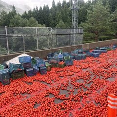 【落下物】東北自動車…