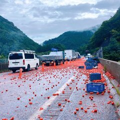 【事故】東北道にトマ…