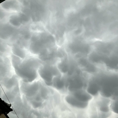 【画像】台風10号の…