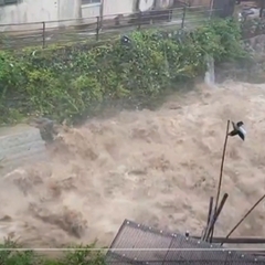 【台風10号】大分県…