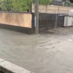 【台風10号】静岡県…