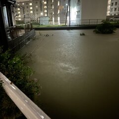 【台風10号】 静岡…