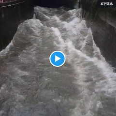 【台風10号】東京都…