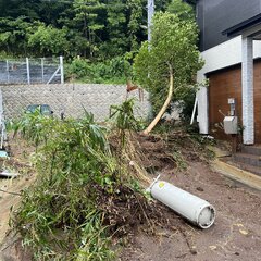 神奈川県秦野市鶴巻北…