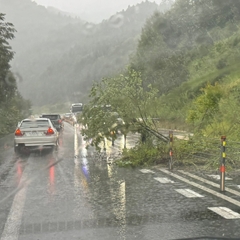 【土砂崩れ】道東道 …