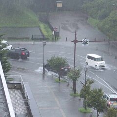 【大雨】青森県弘前市…