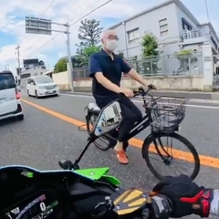 【動画】車道のど真ん…