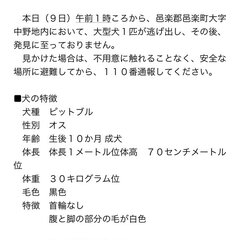 【逃走】群馬県邑楽郡…