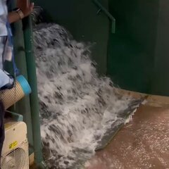 ゲリラ豪雨で甲子園が…