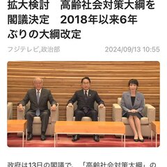 岸田首相もう止めるか…