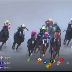 【動画】競馬 中京6…