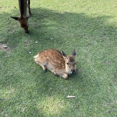 【画像】へずまりゅう…