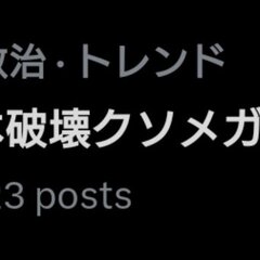 日本保守党員さん 石…