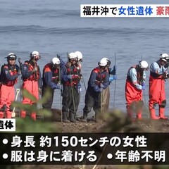 【能登大雨】福井県坂…